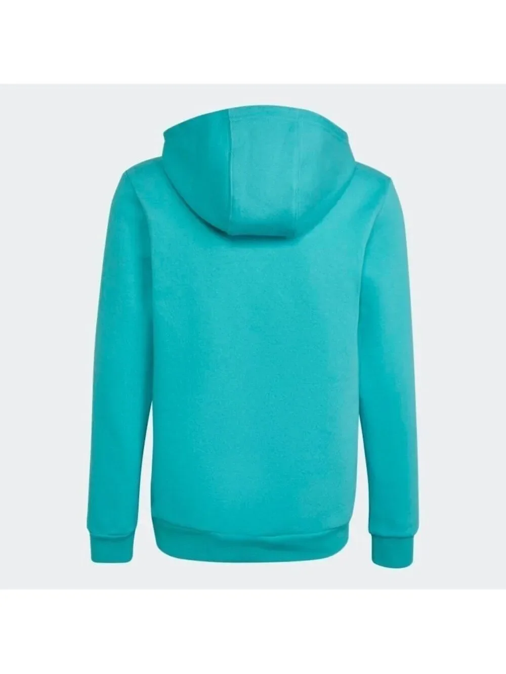 Adidas Originals Trefoil Hoodie Mint Rush Small